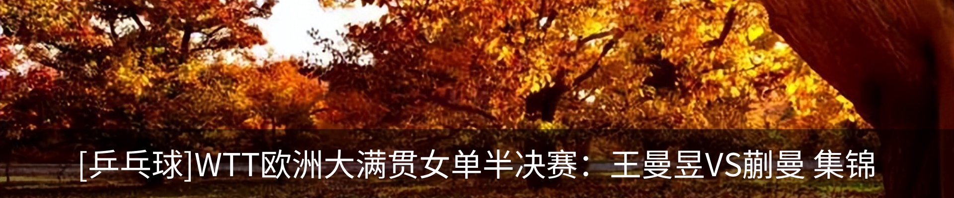 最新动态